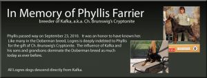 Tribute to Phyllis Farrier 